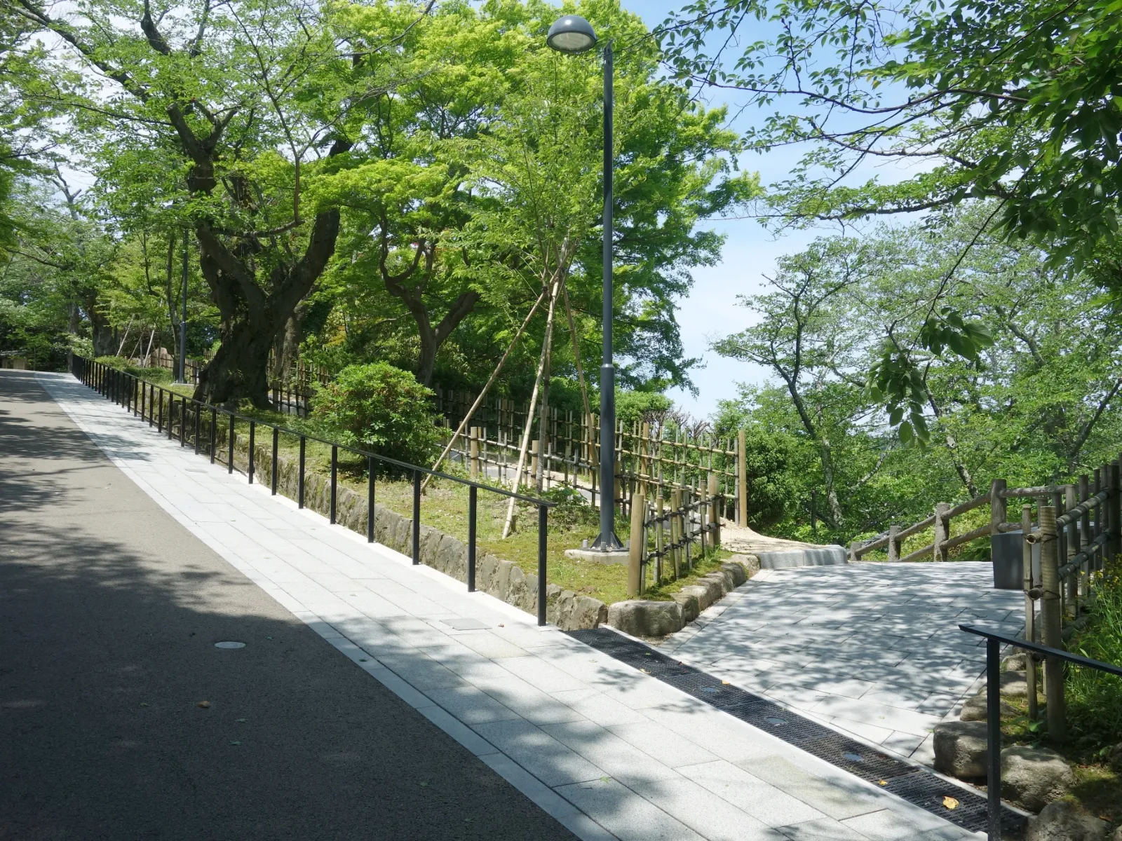 小丸山公園
